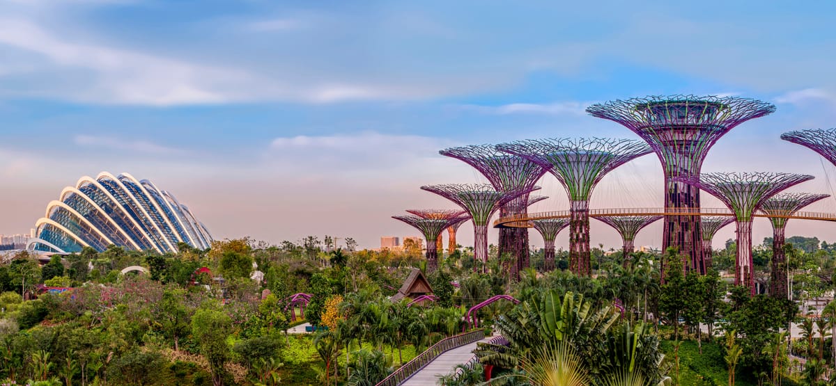 Sustainable Cities Need Urban Green Spaces Now More Than Ever