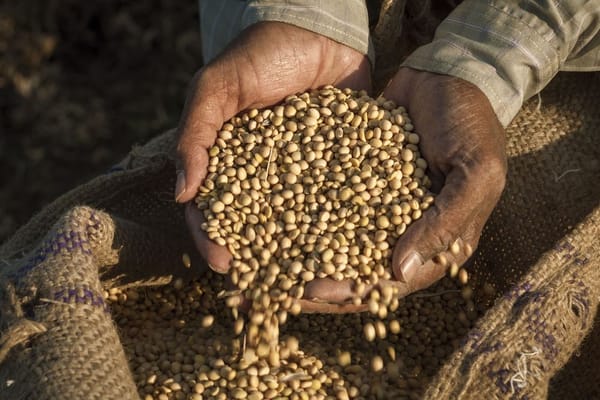 High-Quality Seeds:  Accessing Food Security for ASEAN